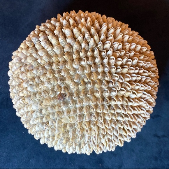 Beautiful decorative 7” ball made of small shells. Perfect accent for any shelf! - Picture 3 of 4